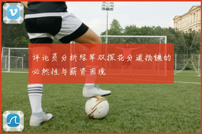 评论员分析绿军双探花分道扬镳的必然性与薪资困境